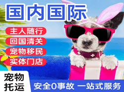 长春龙嘉航空物流国际宠物托运 【国